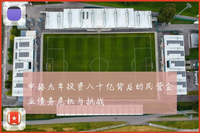 中赫九年投资八十亿背后的民营企业债务危机与挑战
