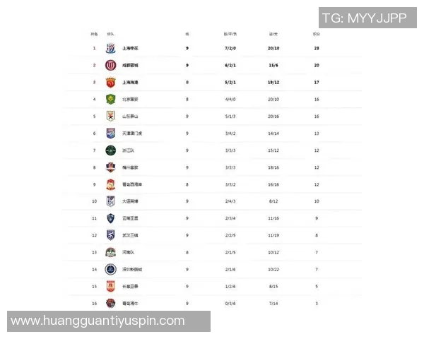 中超球队身价排行榜揭晓海港领衔申花国安泰山紧随其后